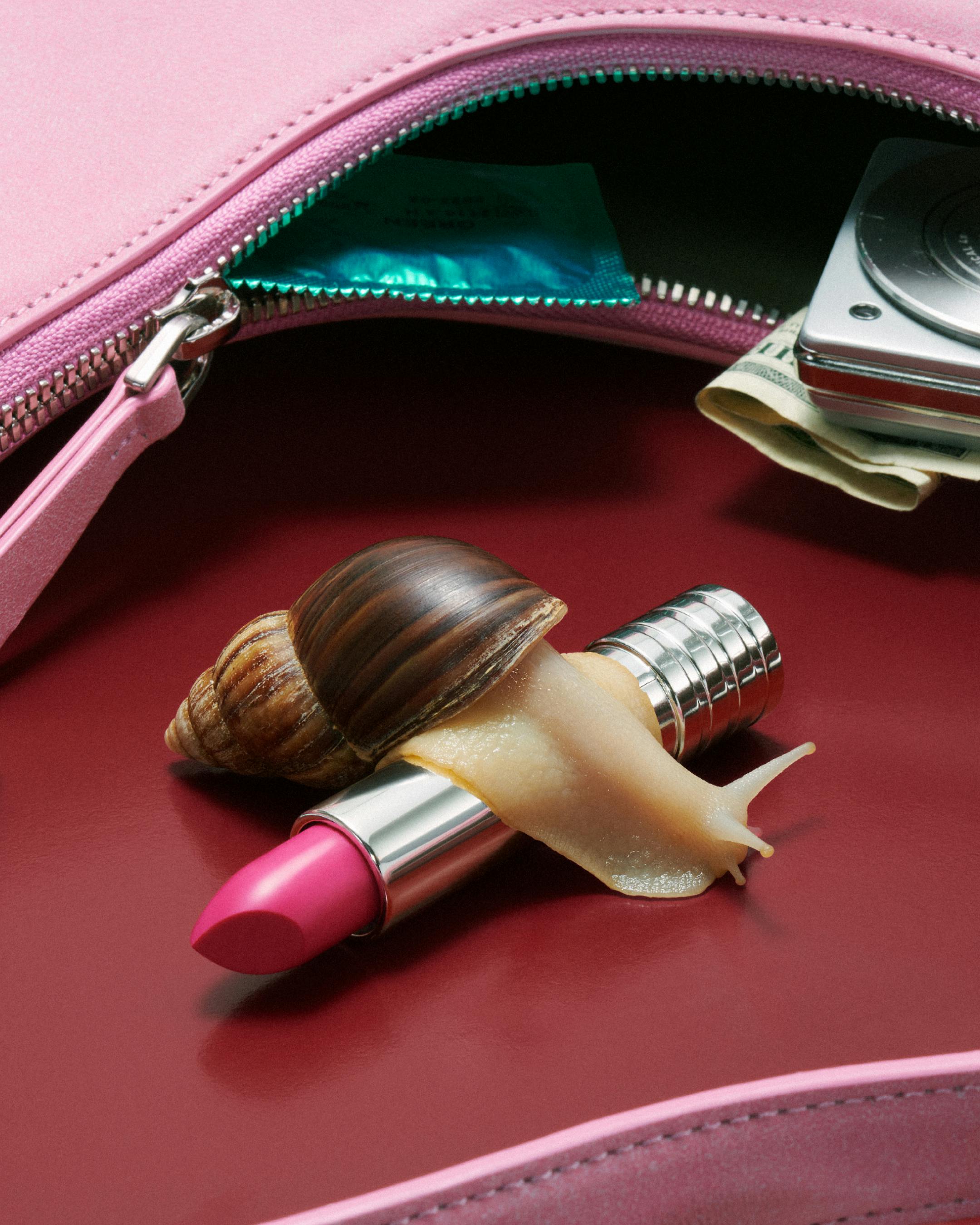Snail on top of a pink lipstick
